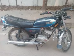 RX100